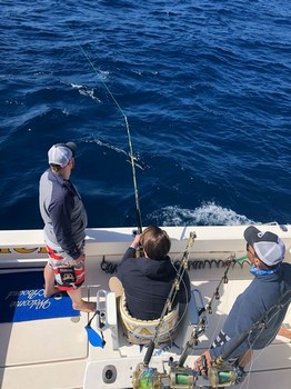 Archivo fotográfico de abril 2018 Cavalier & Blue Marlin Sport Fishing Gran Canaria