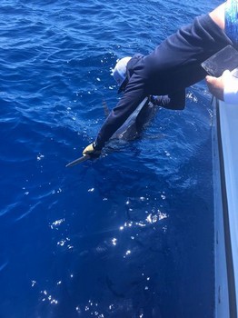 Release me Cavalier & Blue Marlin Pesca sportiva Gran Canaria