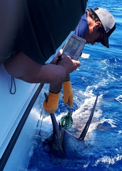 Release me Cavalier & Blue Marlin Sport Fishing Gran Canaria