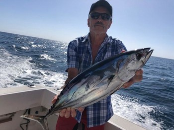 Skipjack tuna Cavalier & Blue Marlin Pesca sportiva Gran Canaria