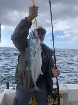North Atlantic Bonito - Skipjack tuna Cavalier & Blue Marlin Sport Fishing Gran Canaria