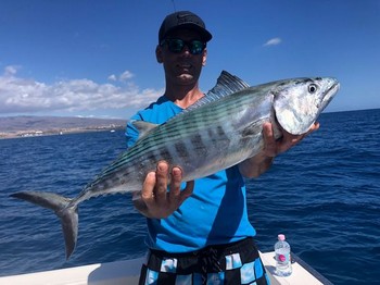Nordatlantiska Bonito Cavalier & Blue Marlin Sport Fishing Gran Canaria