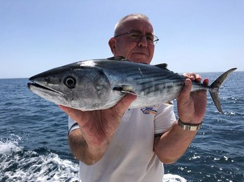 Nordatlantischer Bonito Cavalier & Blue Marlin Sportfischen Gran Canaria