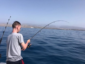 Mars fotoarkiv 2019 Cavalier & Blue Marlin Sport Fishing Gran Canaria