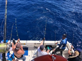 April Photo Archive 2019 Cavalier & Blue Marlin Sport Fishing Gran Canaria