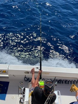July Photo Archive 2019 Cavalier & Blue Marlin Sport Fishing Gran Canaria