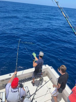 August Photo Archive 2019 Cavalier & Blue Marlin Sport Fishing Gran Canaria