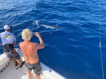 Archivo fotográfico de septiembre 2019 Cavalier & Blue Marlin Sport Fishing Gran Canaria