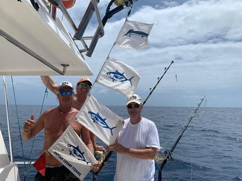 September Fotoarchiv 2019 Cavalier & Blue Marlin Sport Fishing Gran Canaria