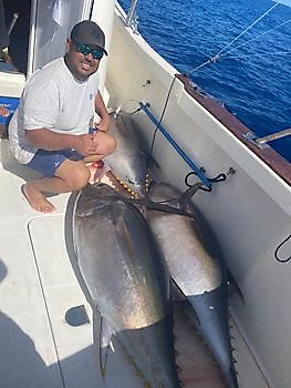 3 Grootoog tonijnen Cavalier & Blue Marlin Sport Fishing Gran Canaria