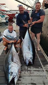 Grootoog Tonijn Cavalier & Blue Marlin Sport Fishing Gran Canaria
