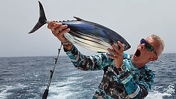 Skipjack tuna Cavalier & Blue Marlin Sport Fishing Gran Canaria