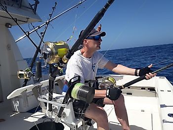 Cavalier vinner Corona Cup 2020 Cavalier & Blue Marlin Sport Fishing Gran Canaria