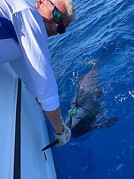 Cavalier vinner Corona Cup 2020 Cavalier & Blue Marlin Sport Fishing Gran Canaria