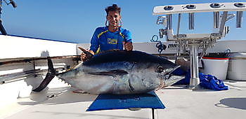 Grootoog tonijn Cavalier & Blue Marlin Sport Fishing Gran Canaria