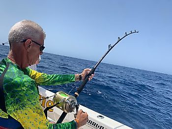 Alweer  enorme Grootoogtonijn Cavalier & Blue Marlin Sport Fishing Gran Canaria