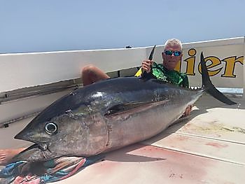 ¡Otro gran atún patudo! Cavalier & Blue Marlin Sport Fishing Gran Canaria