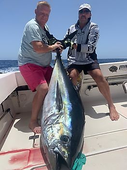 Bigeye Tuna Cavalier & Blue Marlin Sport Fishing Gran Canaria