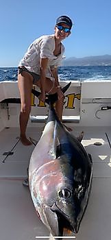 Großaugenthunfisch Cavalier & Blue Marlin Sport Fishing Gran Canaria