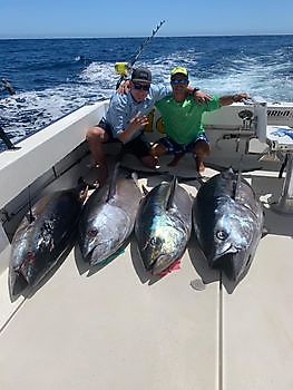 4 Grootoogtonijnen Cavalier & Blue Marlin Sport Fishing Gran Canaria