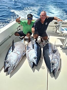 De Winnaars Cavalier & Blue Marlin Sport Fishing Gran Canaria