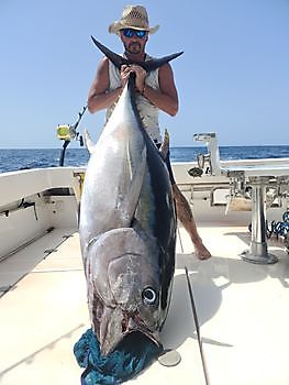 Big Eye Tuna Cavalier & Blue Marlin Sport Fishing Gran Canaria