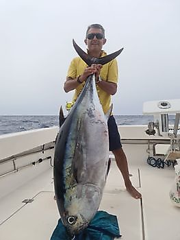 1-2 atún ojo grande Cavalier & Blue Marlin Sport Fishing Gran Canaria