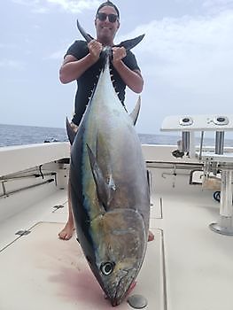 1-4 atún ojo grande Cavalier & Blue Marlin Sport Fishing Gran Canaria