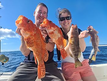 Scorpion fish Cavalier & Blue Marlin Sport Fishing Gran Canaria