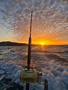 Good morning Cavalier & Blue Marlin Sport Fishing Gran Canaria