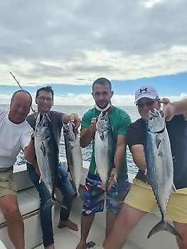 Atlantische Bonito / Zeebrasems Cavalier & Blue Marlin Sport Fishing Gran Canaria