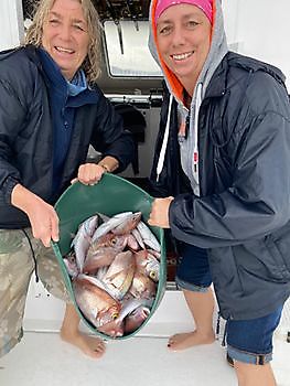 Atlantische Bonito / Zeebrasems Cavalier & Blue Marlin Sport Fishing Gran Canaria