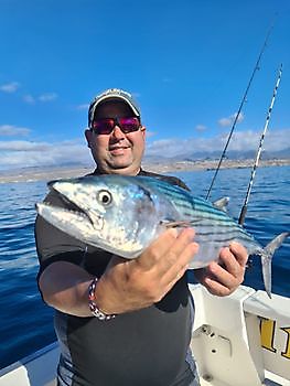 Atlantische Bonito Cavalier & Blue Marlin Sport Fishing Gran Canaria