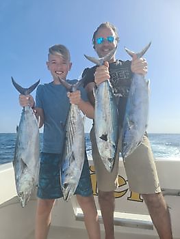 North Atlantic Bonito's Cavalier & Blue Marlin Sport Fishing Gran Canaria