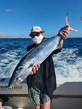 Bonito del Atlántico Norte Cavalier & Blue Marlin Sport Fishing Gran Canaria