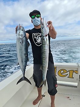 Bonito y Barracuda del Atlántico Norte Cavalier & Blue Marlin Sport Fishing Gran Canaria
