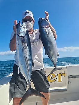 Bonito del Atlántico Norte Pesca Deportiva Cavalier & Blue Marlin Gran Canaria
