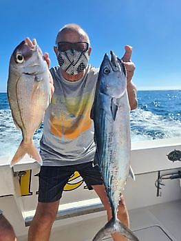 Bonito del Atlántico Norte y Dorada Cavalier & Blue Marlin Sport Fishing Gran Canaria