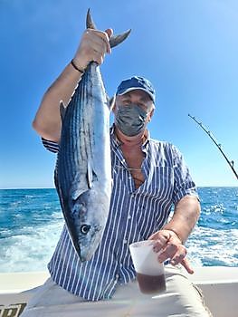 Bonito de l_Atlantique Nord Cavalier & Blue Marlin Sport Fishing Gran Canaria