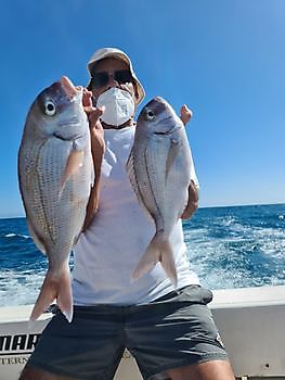 Daurades espagnoles Cavalier & Blue Marlin Sport Fishing Gran Canaria