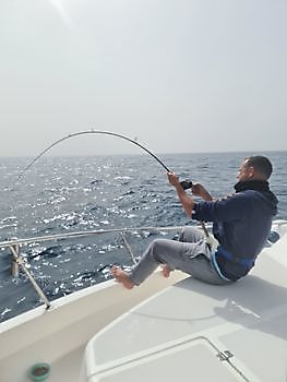 Hooked-up Cavalier & Blue Marlin Sport Fishing Gran Canaria