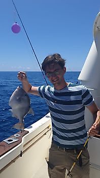 Triggerfish Cavalier & Blue Marlin Sport Fishing Gran Canaria