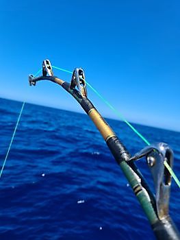 Hook-up Cavalier & Blue Marlin Sport Fishing Gran Canaria