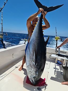 140 kg Bigeye tuna Cavalier & Blue Marlin Sport Fishing Gran Canaria