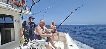 1st Blue Marlin of 2021 Cavalier & Blue Marlin Sport Fishing Gran Canaria