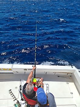 Hooked up Cavalier & Blue Marlin Pesca sportiva Gran Canaria