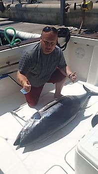 Big Eye tonijn Cavalier & Blue Marlin Sport Fishing Gran Canaria
