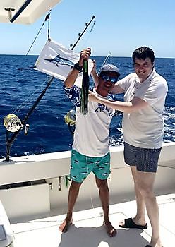 450 lb Blue Marlin + 1lb Mobile Phone Released Cavalier & Blue Marlin Sport Fishing Gran Canaria