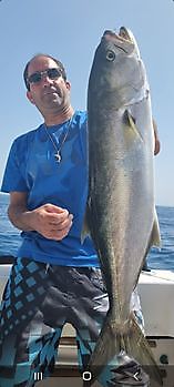 Pez rey Cavalier & Blue Marlin Sport Fishing Gran Canaria
