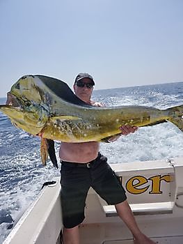 30 lbs Dorado Cavalier & Blue Marlin Sport Fishing Gran Canaria